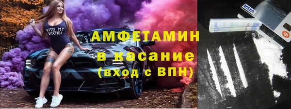 ГАЛЛЮЦИНОГЕННЫЕ ГРИБЫ Верея